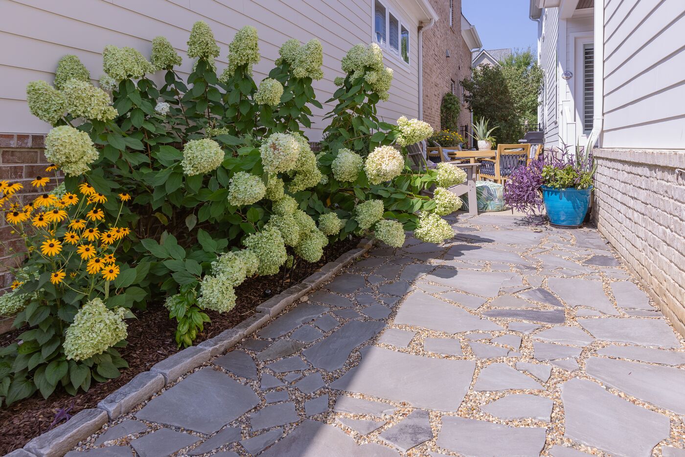Flagstone walkway with pea gravel joints, bordered by blooming hydrangeas